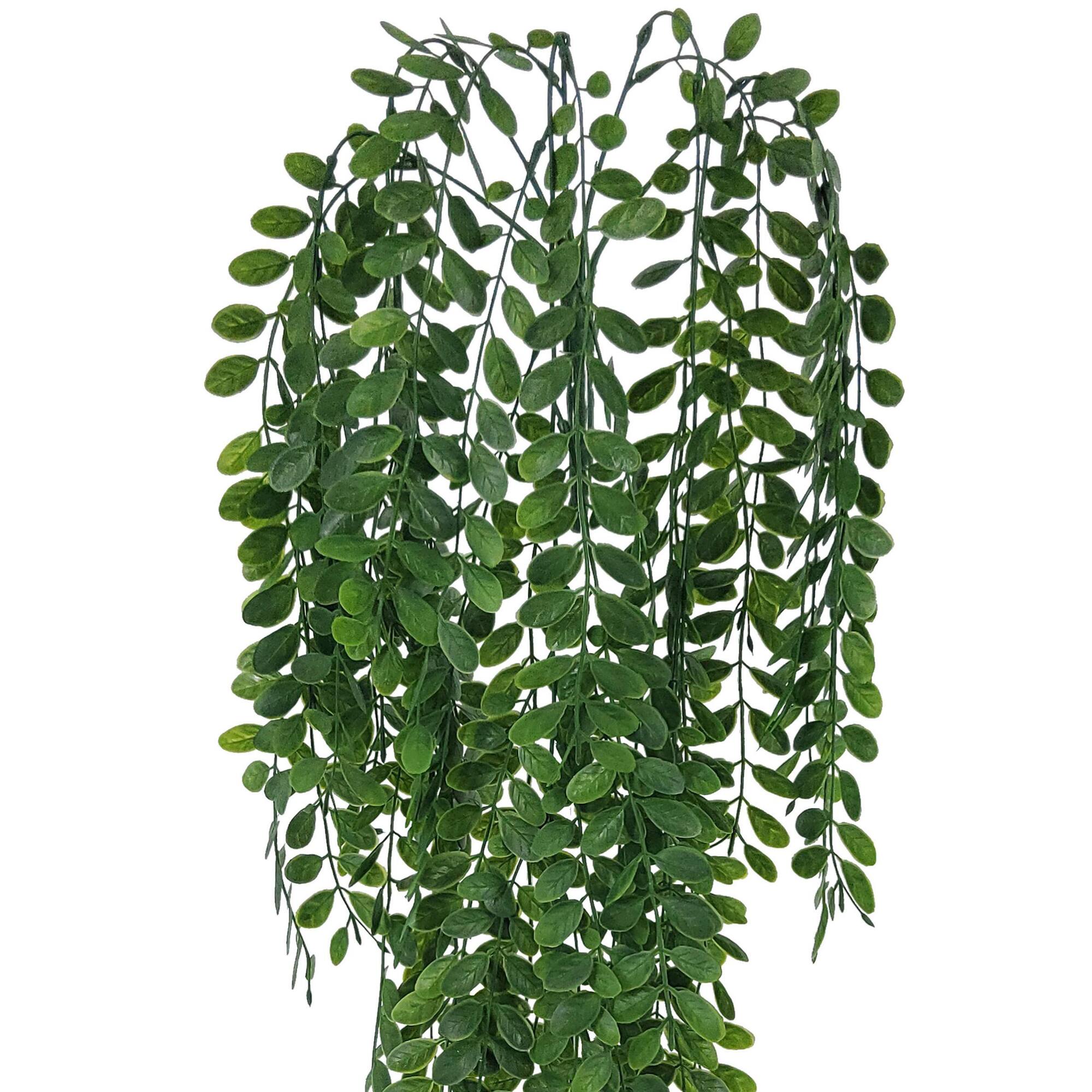 28" Hanging Nandina Bush by Ashland®